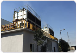 遼寧體育木地板價格