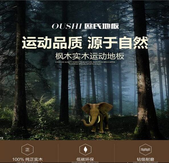歐氏體育木地板 歐氏體育木地板