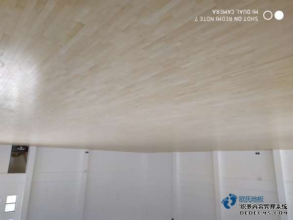 楓樺木籃球館木地板每平米價格