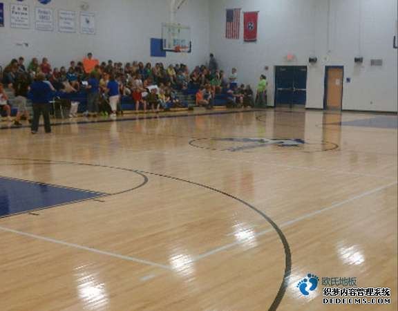 專(zhuān)業(yè)籃球館木地板什么牌子好